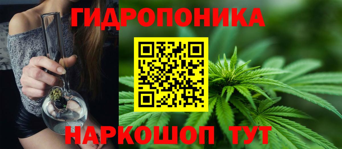 Каннабис MAZAR Ачхой-Мартан